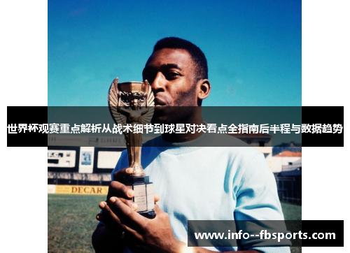 世界杯观赛重点解析从战术细节到球星对决看点全指南后半程与数据趋势